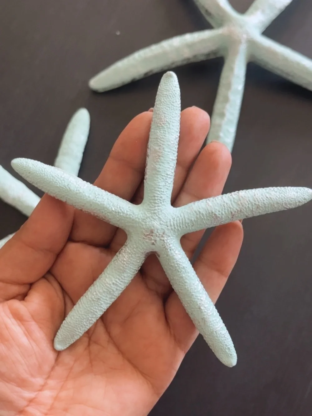 Coastal Mint Starfish Decor Set - Home Accent